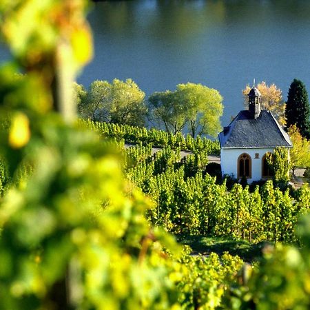 KövenigWeingut Christoffelアパートメント エクステリア 写真