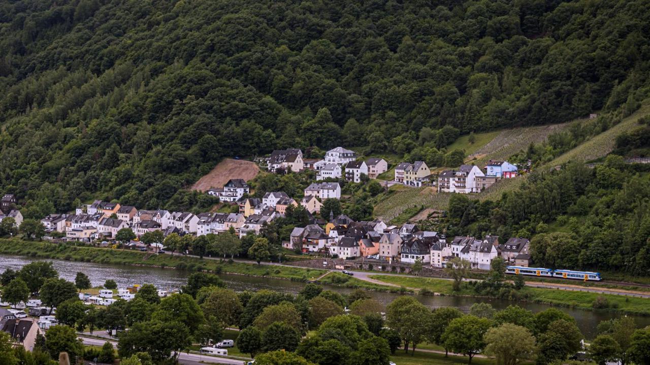KövenigWeingut Christoffelアパートメント エクステリア 写真