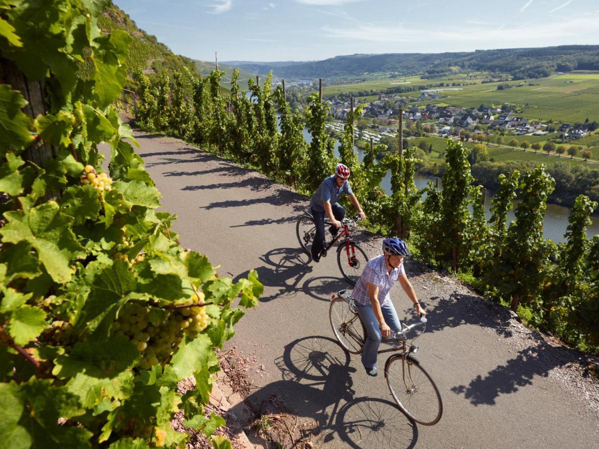 KövenigWeingut Christoffelアパートメント エクステリア 写真